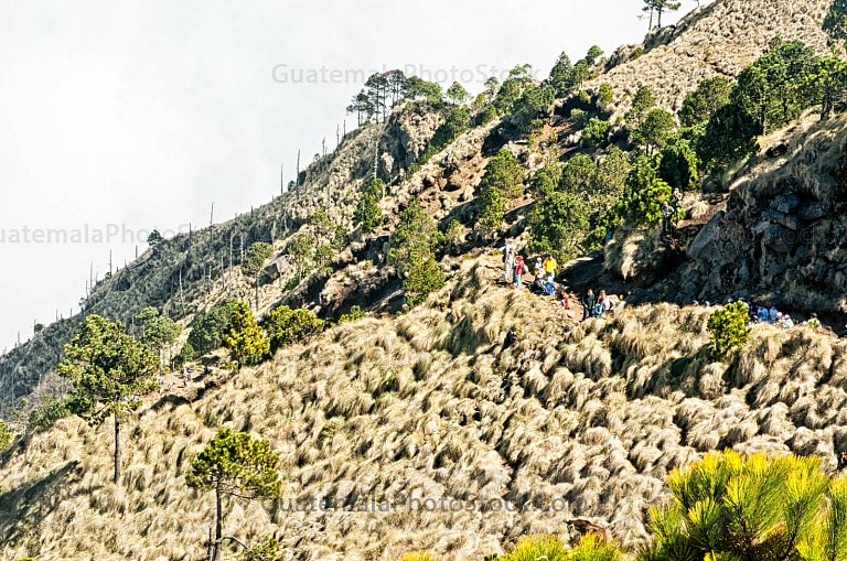 Sendero de ascenso al Volcán de Agua