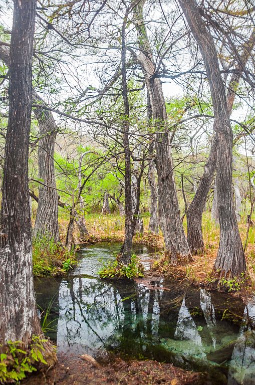 Nacimiento del Río Lagartero