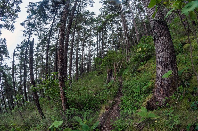 Sendero Puerta del Cielo