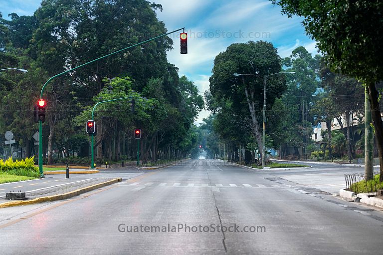 Avenida la Reforma, Zona 10