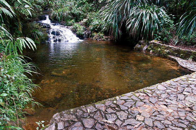 Piscina natural
