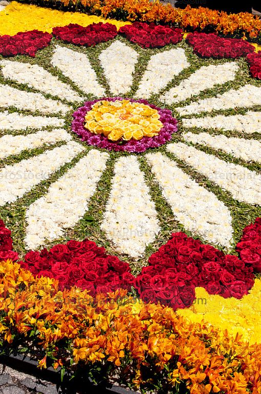 Alfombra de aserrín y flores