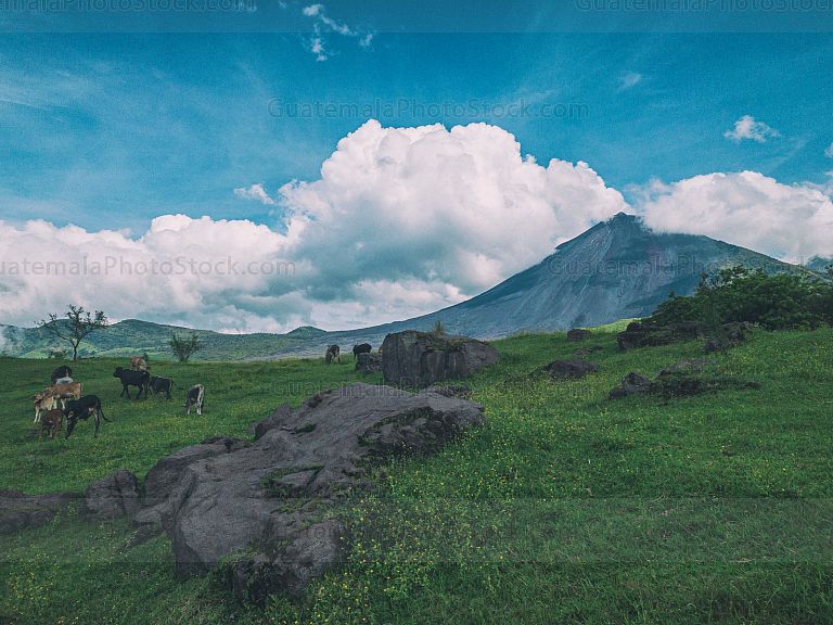 Volcán de Pacaya