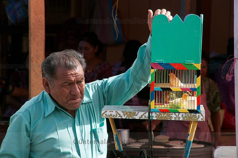 Adivino con una ave