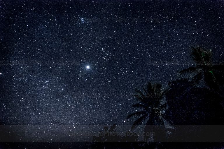 Estrellas y palmas