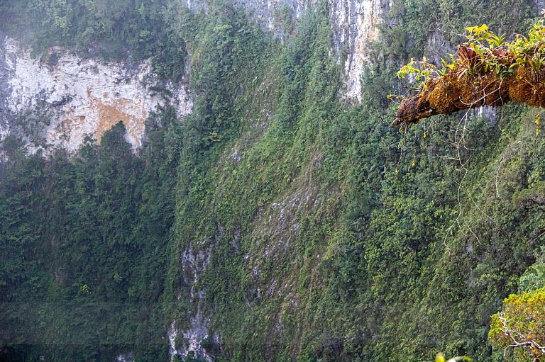 Ladera del cimarrón de los Tres Ranchos