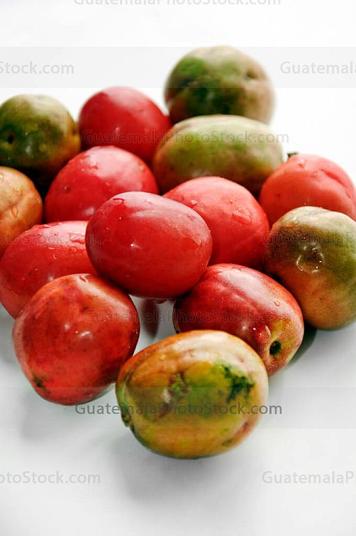 Jocotes