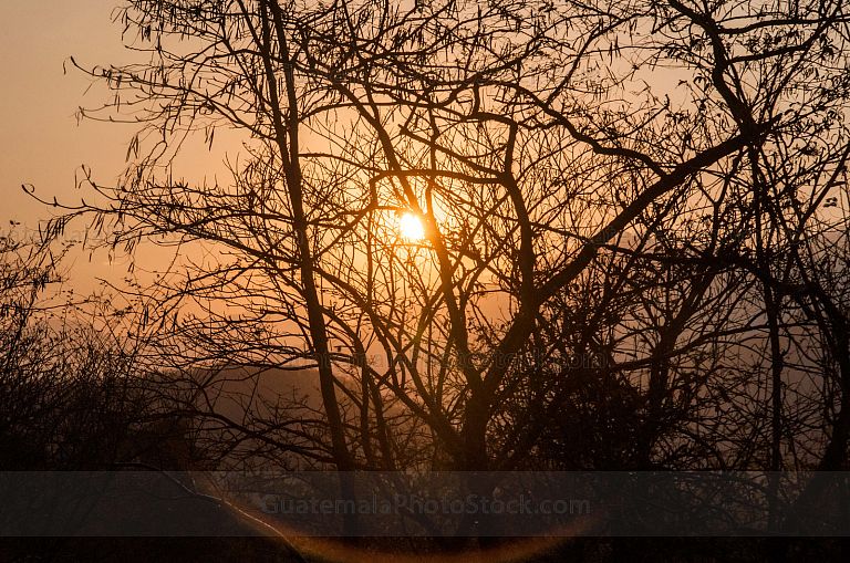 Sol al atardecer