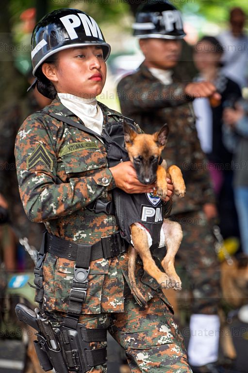 Policia Militar Canina