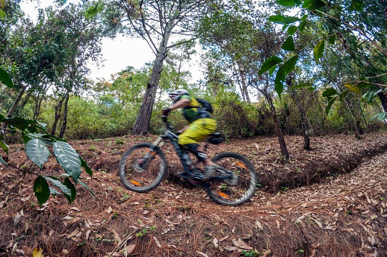 Bicicleta de montaña