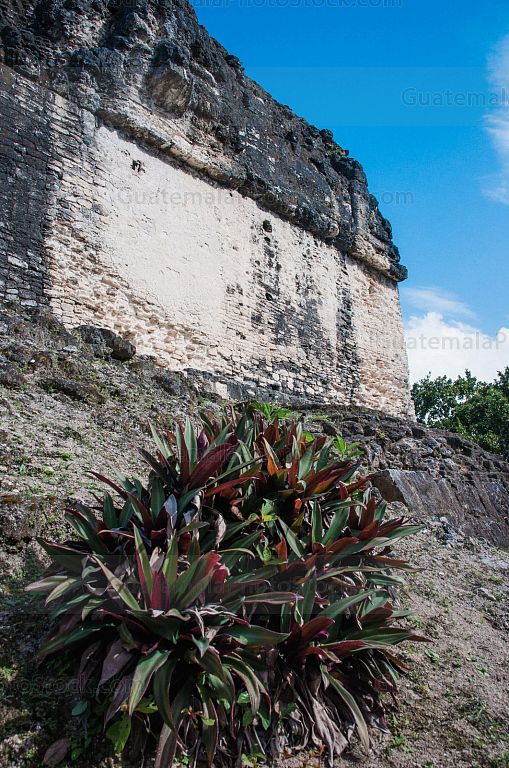 Vestigios mayas en Tikal