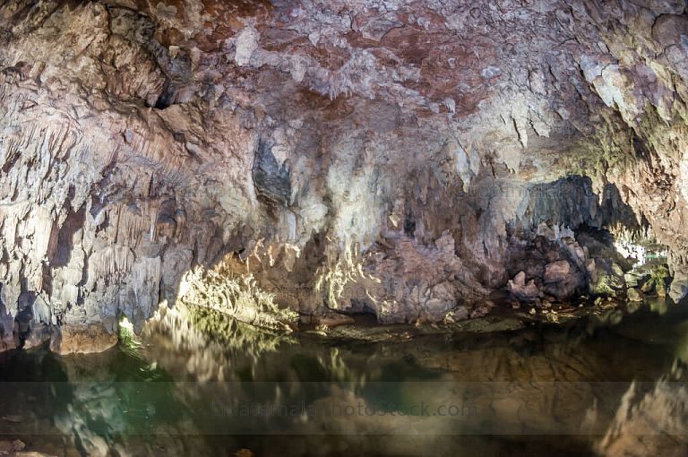 Complejo B, Cueva del Tepezcuintle