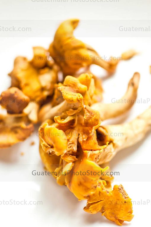 Anacates