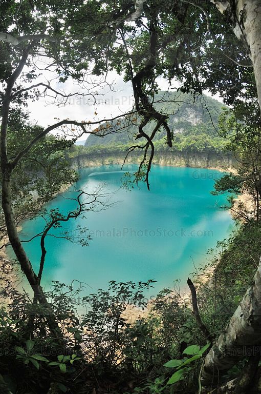 Cenote de Laguna Brava