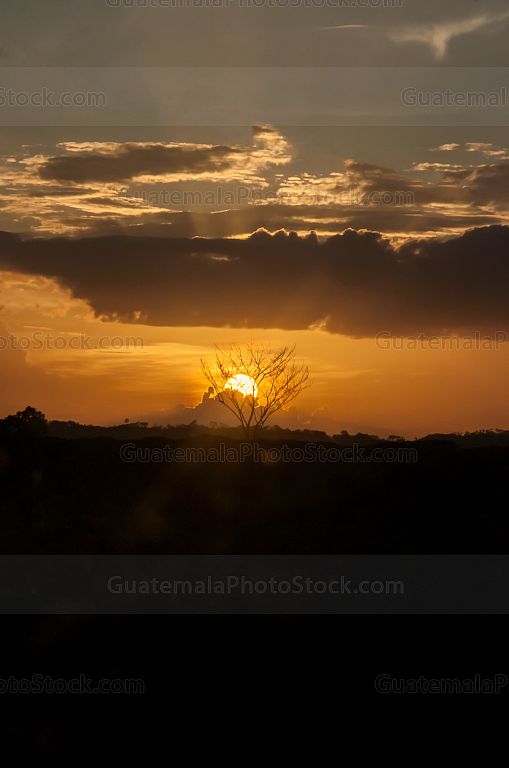 Atardecer