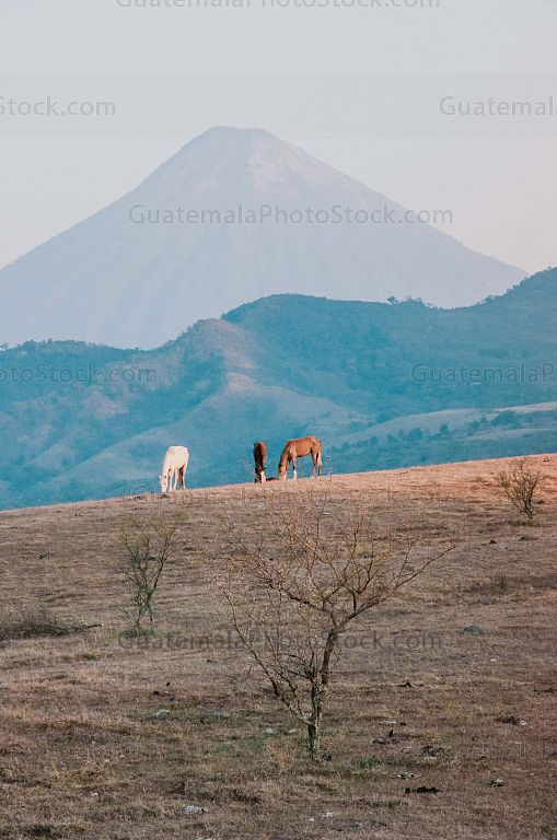 Volcán de Agua