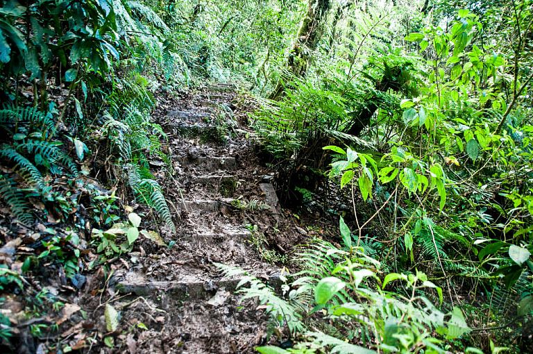 Sendero de ascenso al Volcán Suchitán