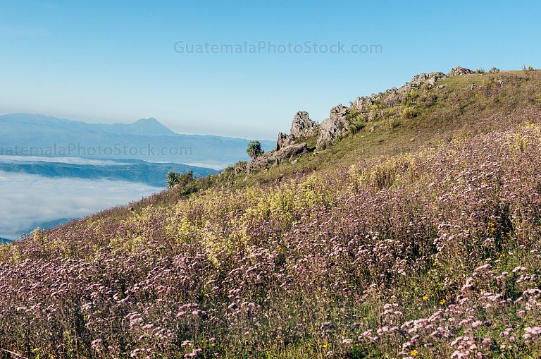 Mirador Juan Dieguez Olaverri