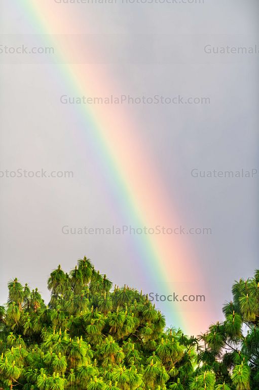 Arcoiris