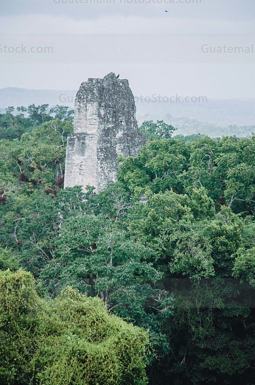 Parque Nacional Tikal