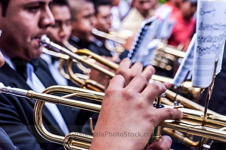 Músicos