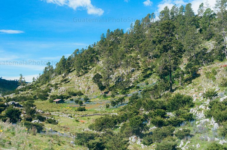 Sierra de los Cuchumatanes