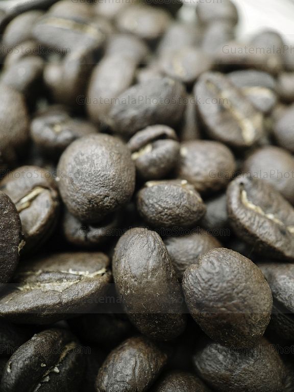 Granos de café tostado