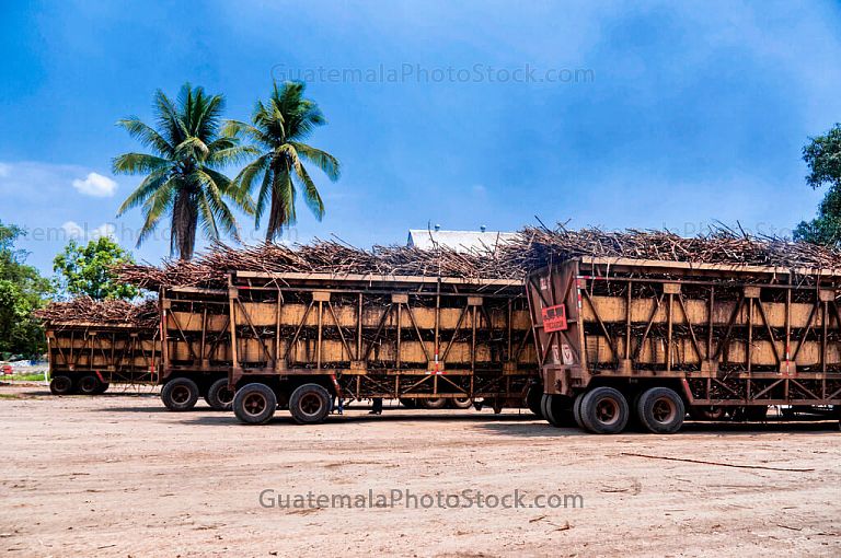 Transporte de caña de azucar