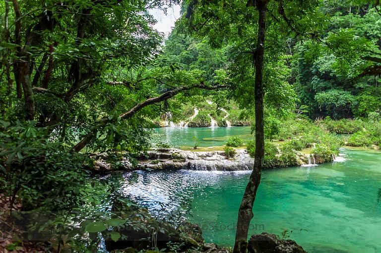 Pozas de Semuc Champey