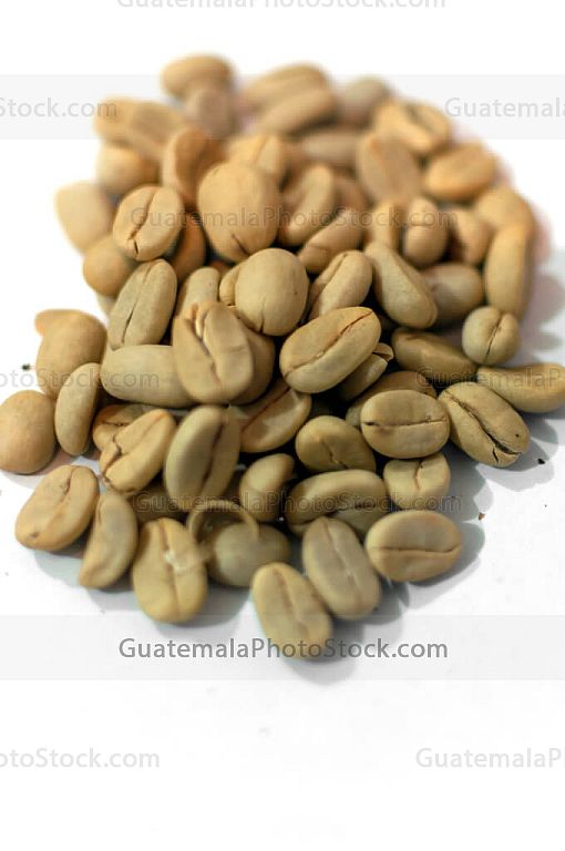 Cafe pergamino