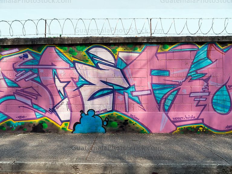 Graffiti en la Avenida Simeón Cañas