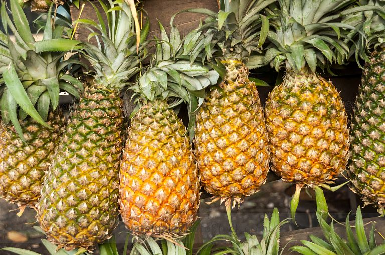 Piñas