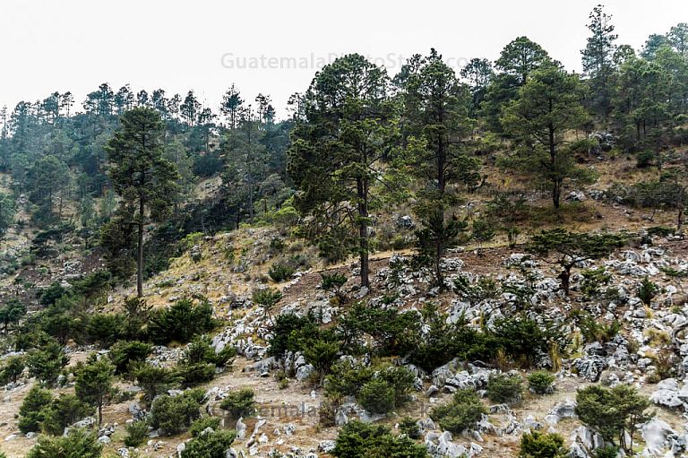 Paisaje rocoso