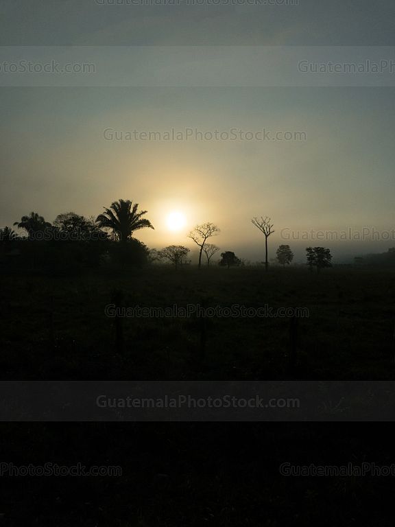 Amanecer en Petén