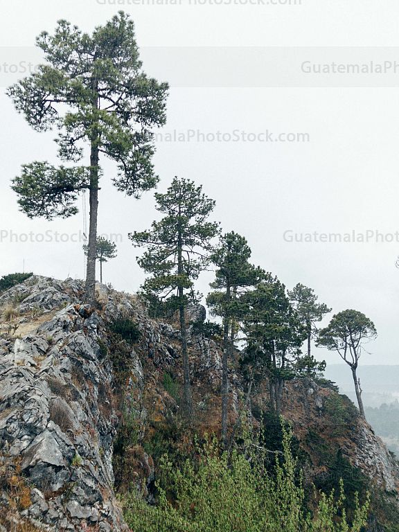 Mirador La Torre