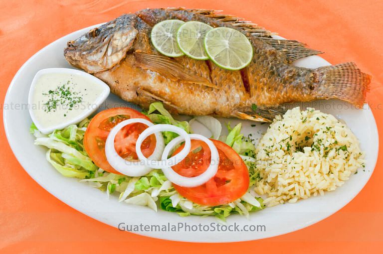 Mojarra