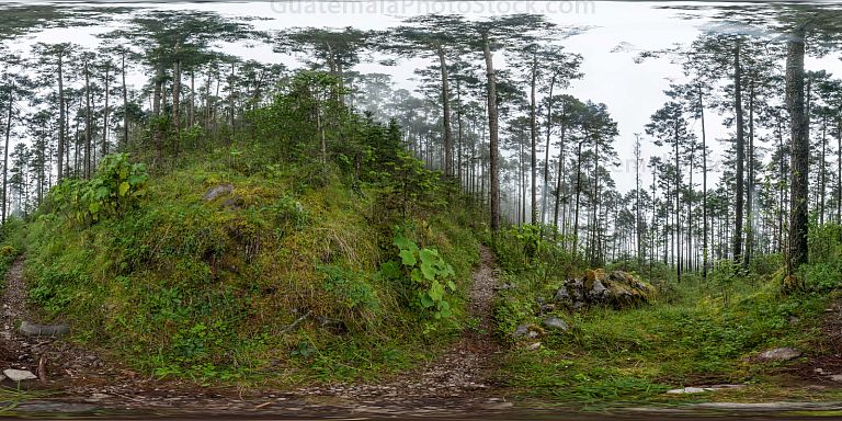 Panorama del Sendero Ecológico La Puerta del Cielo