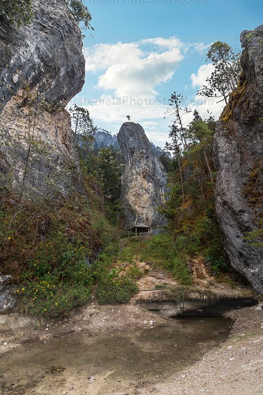 Nacimiento de agua sendero La Maceta