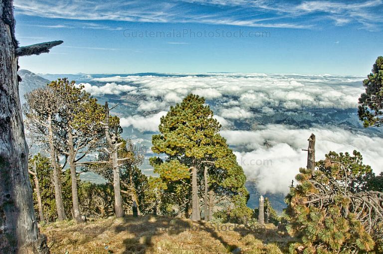 Crater del Volcán de Agua