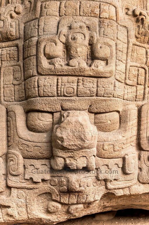 Detalle de Zoomorfo P Sur en Quiriguá