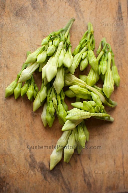 Ramitos de Loroco