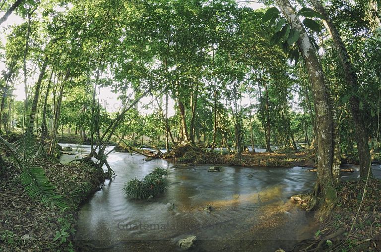 Río en la Franja Transversal del Norte