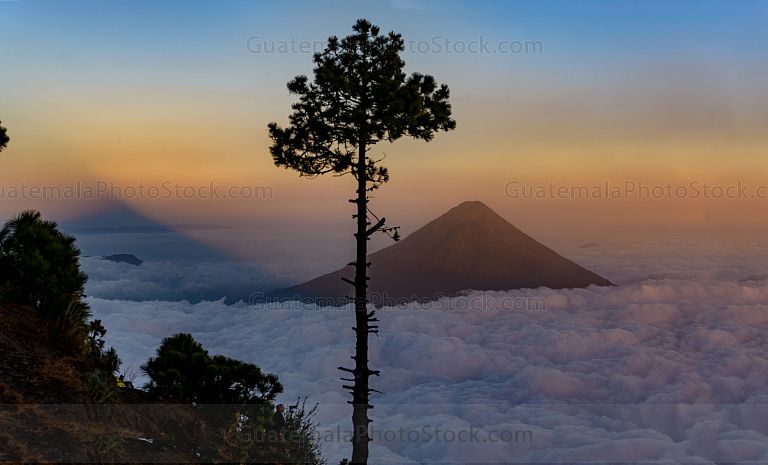 Frente a la sombra del gigante Volcán de Agua