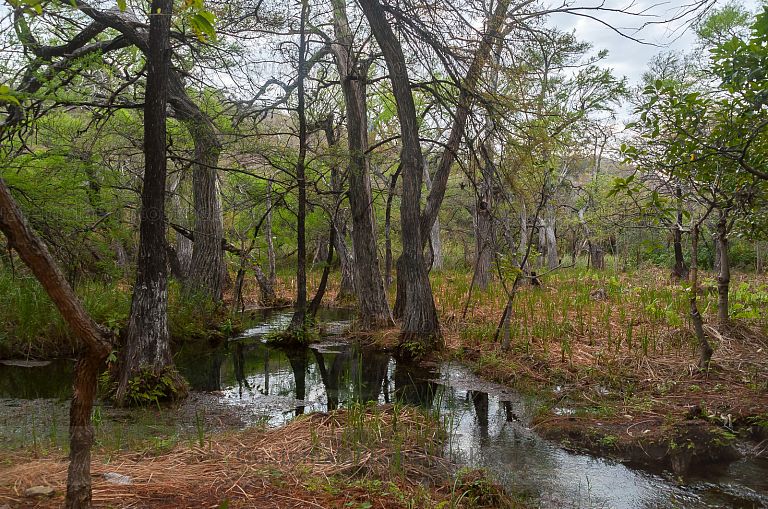 Nacimiento del Río Lagartero