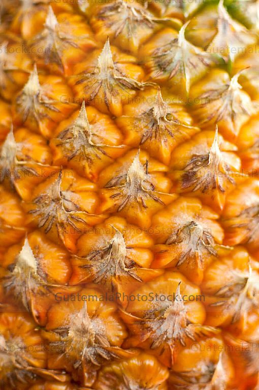 Detalle de Piña