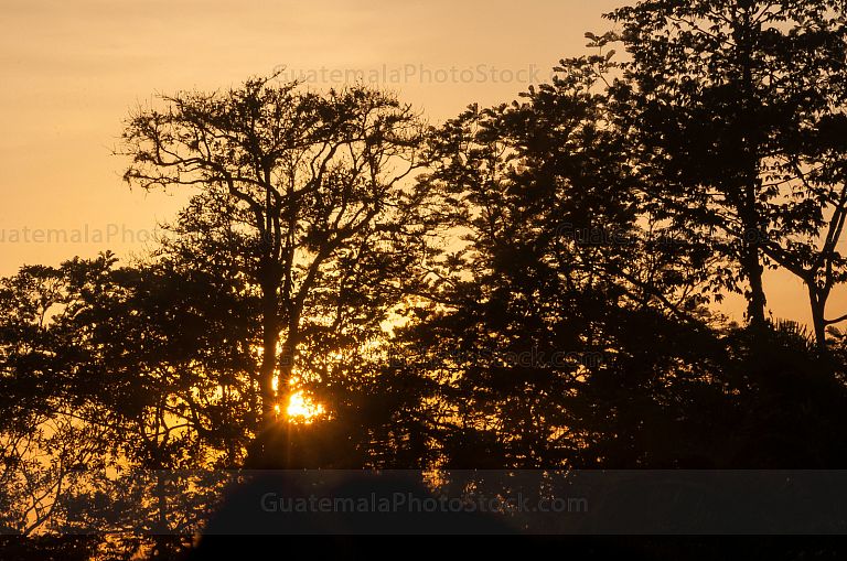 Atardecer en la Franja Transversal del Norte