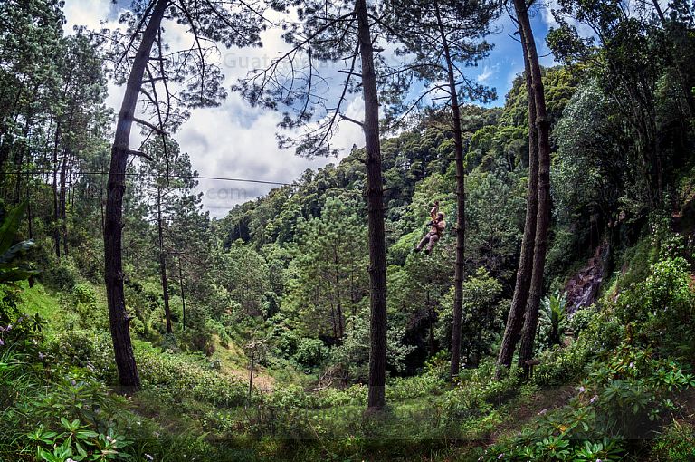 Canopy