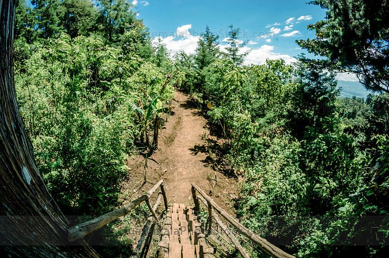 Sendero en Green Rush