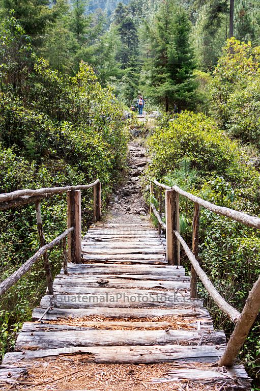 Puente de leños en Sendero la Maceta