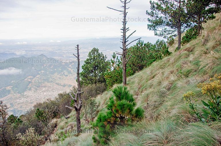 Paisaje de ascenso al Volcán de Agua